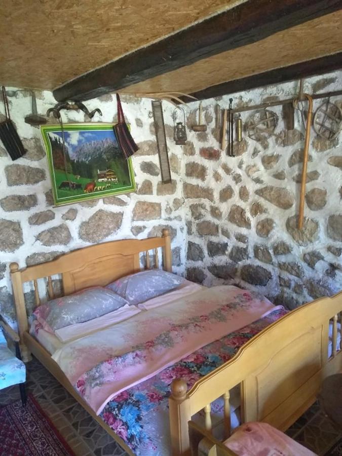 Kamena Kuca Apartment Zabljak  Luaran gambar