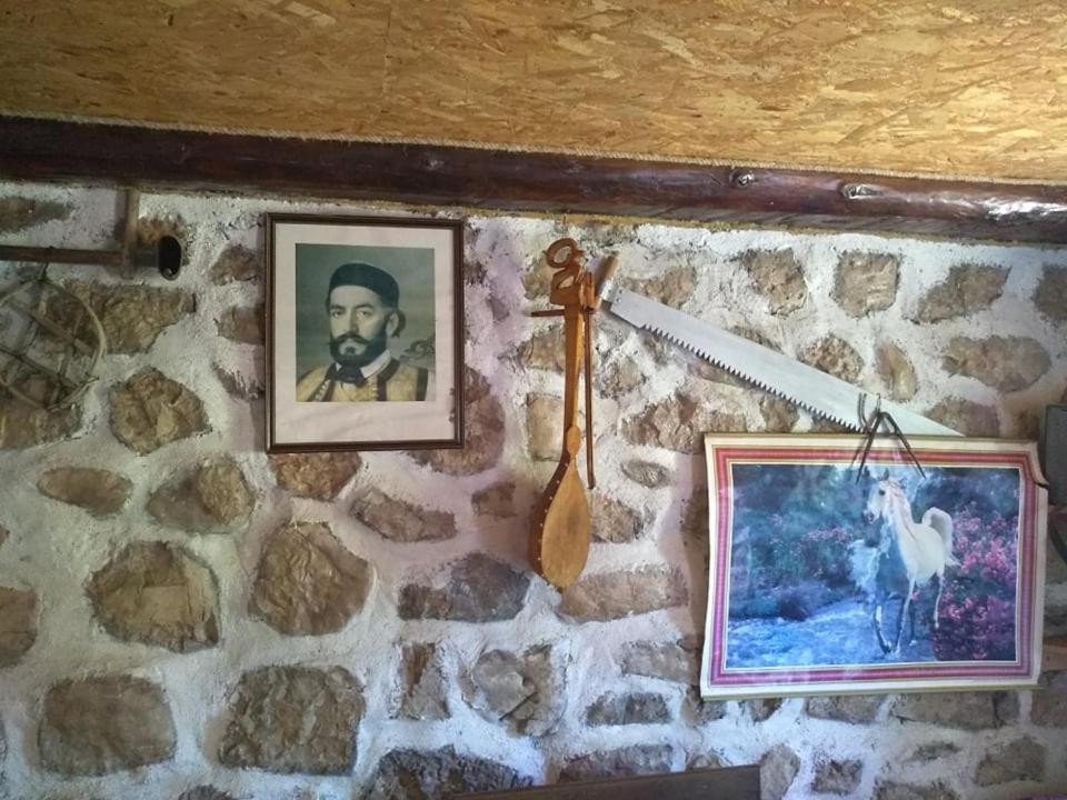 Kamena Kuca Apartment Zabljak  Luaran gambar